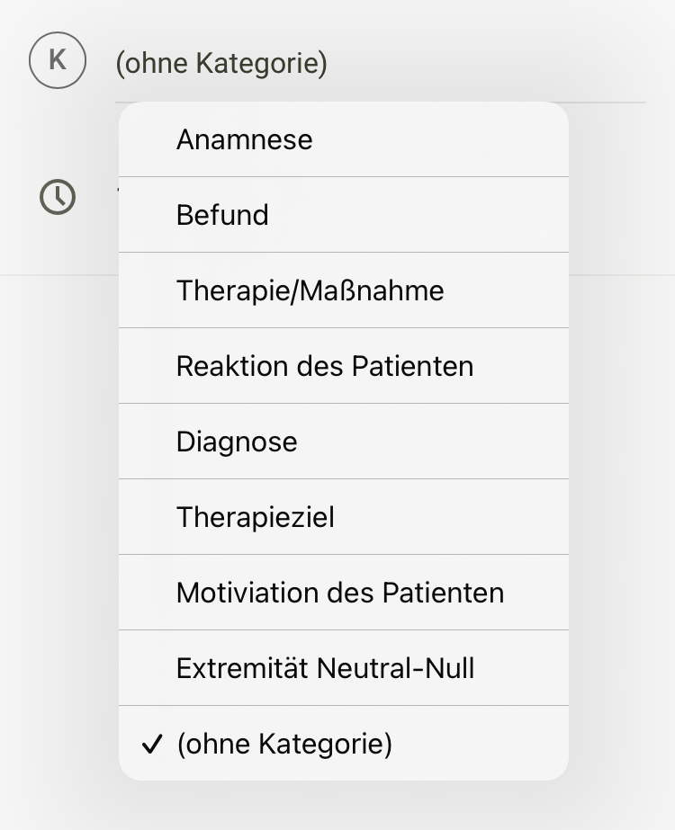 Screenshot App Termine Dokueintrag Kategorie Datum