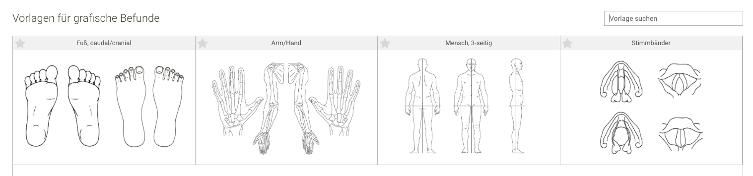 Screenshot Frontoffice Formularschublade graphischer Befund Vorlagen